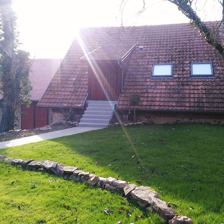 Joli gîte F2 indépendant avec jardin privé Rouffach Extérieur photo