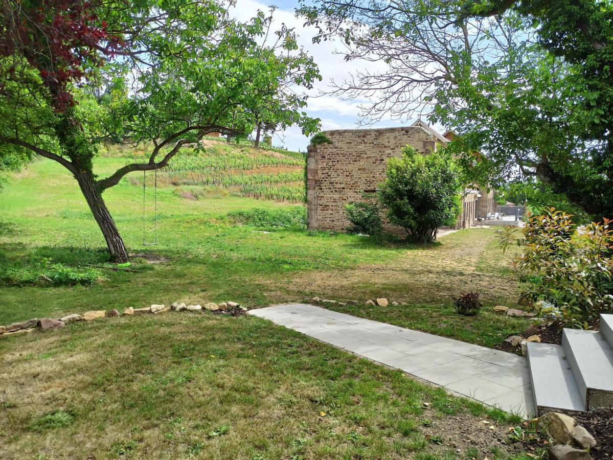 Joli gîte F2 indépendant avec jardin privé Rouffach Extérieur photo