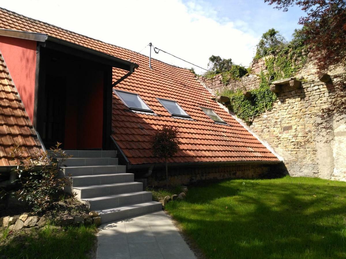 Joli gîte F2 indépendant avec jardin privé Rouffach Extérieur photo