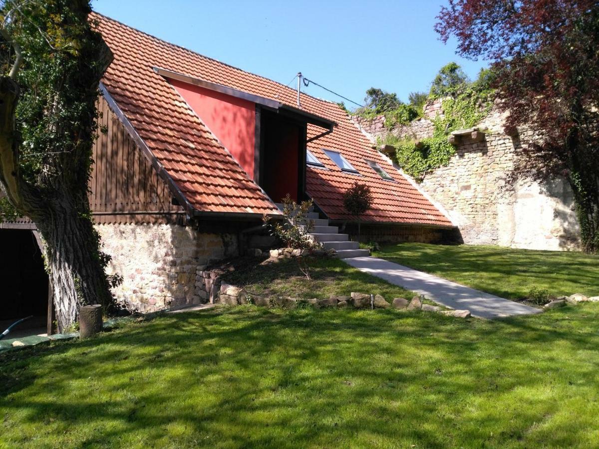 Joli gîte F2 indépendant avec jardin privé Rouffach Extérieur photo